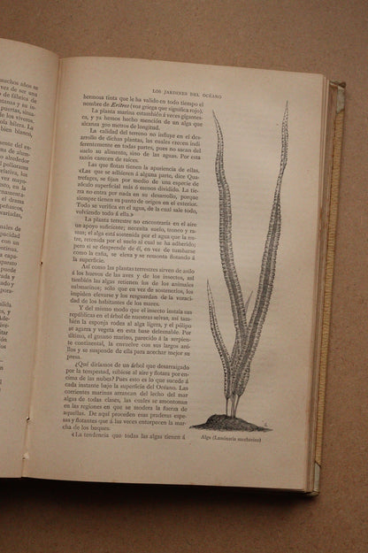 Misterios del Mar, Montaner y Simón, 1891