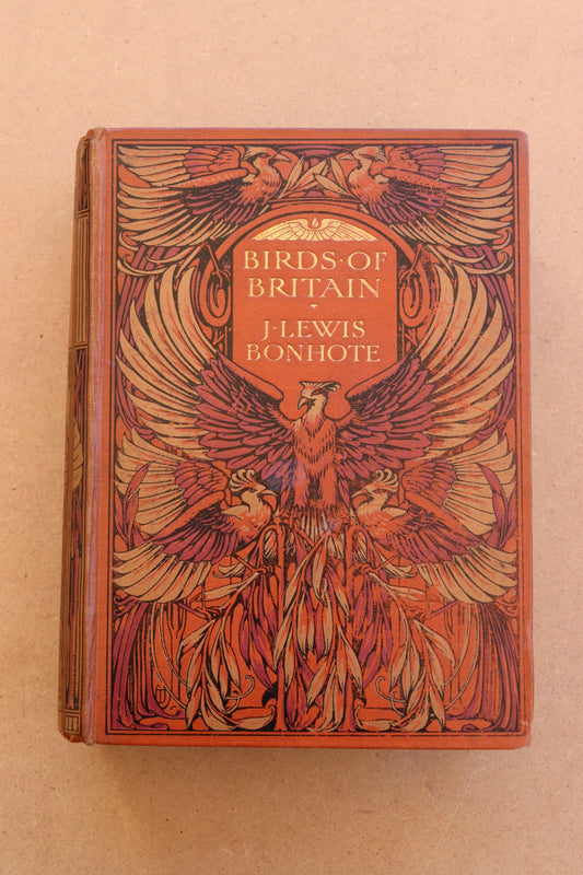 Birds of Britain, J. Lewis Bonhote, 1907