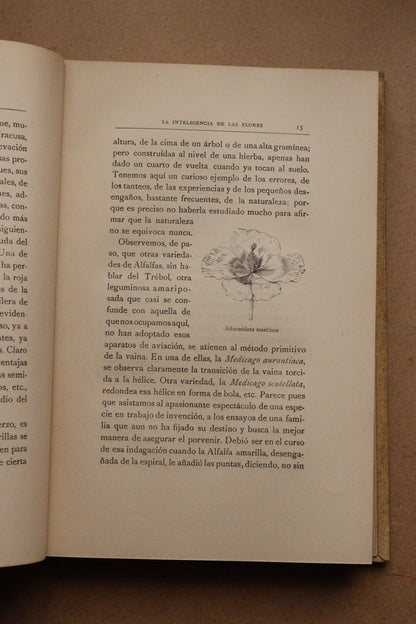 La inteligencia de las flores, Montaner y Simón, 1914