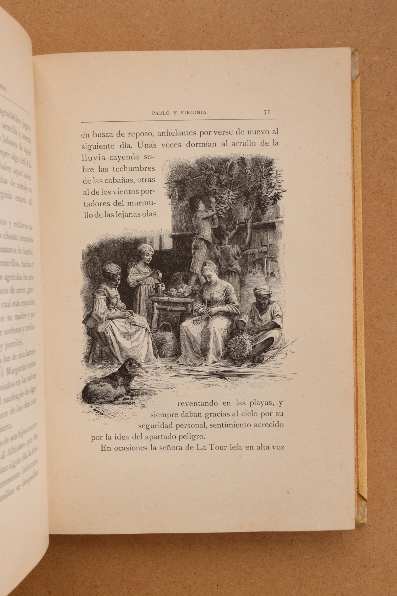 Pablo y Virginia, Montaner y Simón, 1902