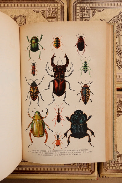 Historia Natural, Montaner y Simón, 1891-1895, Completa