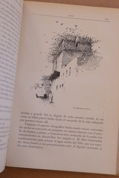 Viaje por el Nilo, Montaner y Simón, 1890